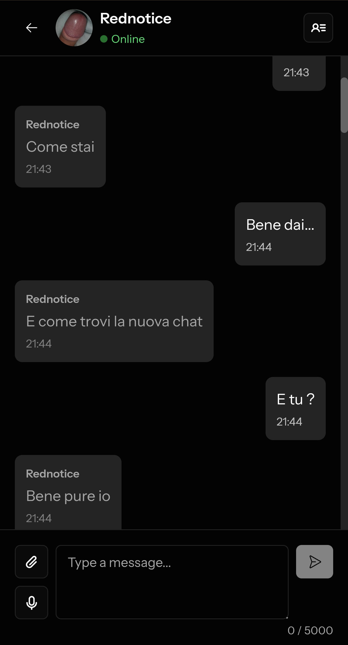 Active conversation with messages